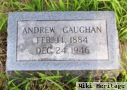 Andrew Gaughan