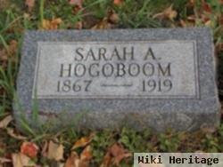 Sarah A Hogoboom