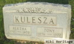 Tony Kulesza