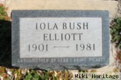 Iola Bush Elliott