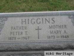 Peter T Higgins