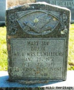 Mary Sue Williams