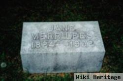 Jane Marr Merrilees