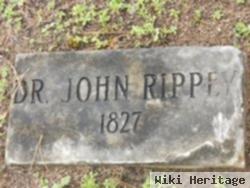 Dr John Rippey