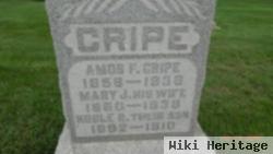 Amos F Cripe