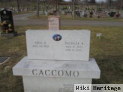 Patricia Ann Fragner Caccomo