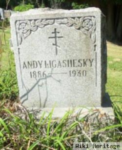 Andy Ligashesky