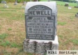 James C. Newell