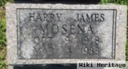 Harry James Mosena