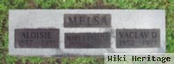 Mary L. Melsa English