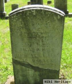 Sarah E. Bagg Hale