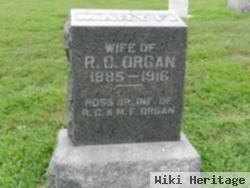 Ross Organ, Jr