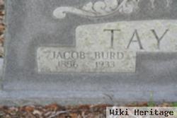 Jacob Burd Taylor