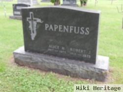 Robert J. Papenfuss