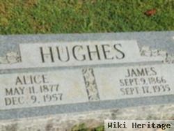 Alice Hughes