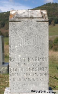 Elliott Harmon Chestnut