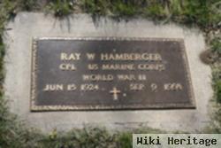 Ray W Hamberger