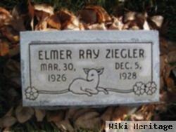 Elmer Ray Ziegler