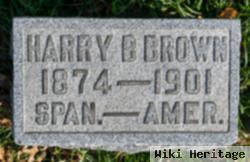 Harry B Brown