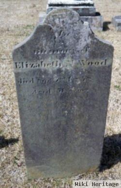 Elizabeth N. Wood