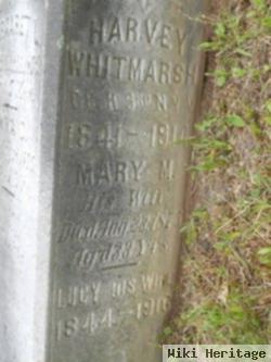 Mary M Whitmarsh