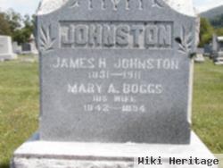 Mary Adilaide Boggs Johnston