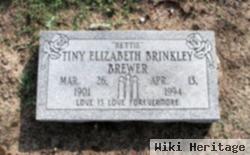 Tiny Elizabeth Brinkley Brewer