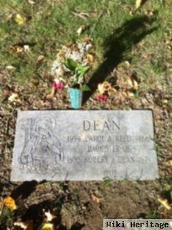 Carol Ann Dean Reed