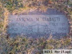 Antonia M Ciabatti