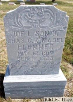 Joseph L. "joe" Plummer