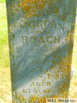 Morgan Roach