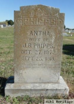 Antha Phipps