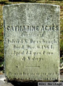 Catherine Agnes Drawbaugh