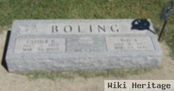 Roy E. Boling