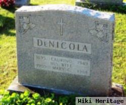 Mary C Denicola