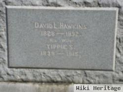 Tippie S Hawkins