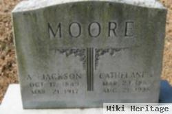 Andrew Jackson Moore