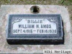 William H Amos