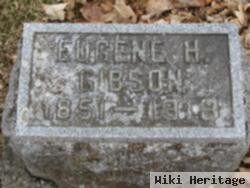 Eugene H Gibson