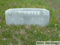 James H Wallace