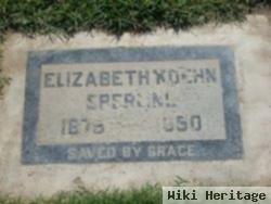 Elizabeth "lizzie" Koehn Sperling