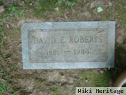 David E. Roberts