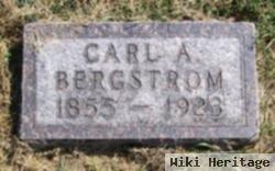 Carl A Bergstrom