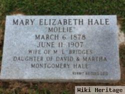 Mary Elizabeth "mollie" Hale Bridges