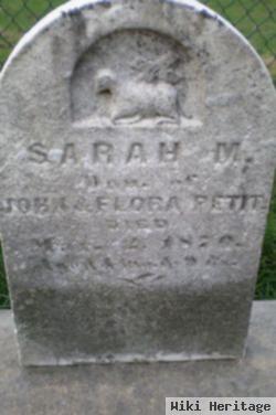 Sarah M Petit