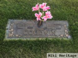 Robert Lewellyn Goodwin