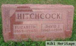 David J Hitchcock