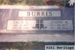 Joseph M Burris