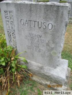 Andrew Gattuso