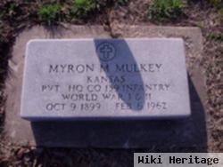 Myron M Mulkey